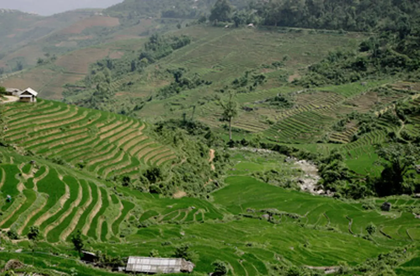Sa Pa i den nordvestlige del af Vietnam i provinsen Lao Cai.