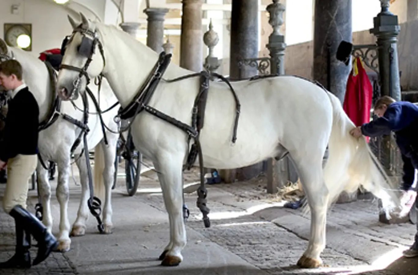 De Kongelige Stalde, Christiansborg Slot