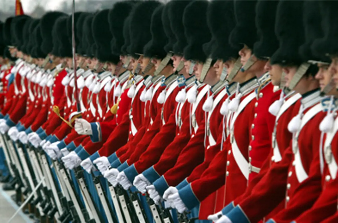 The Honour Guard