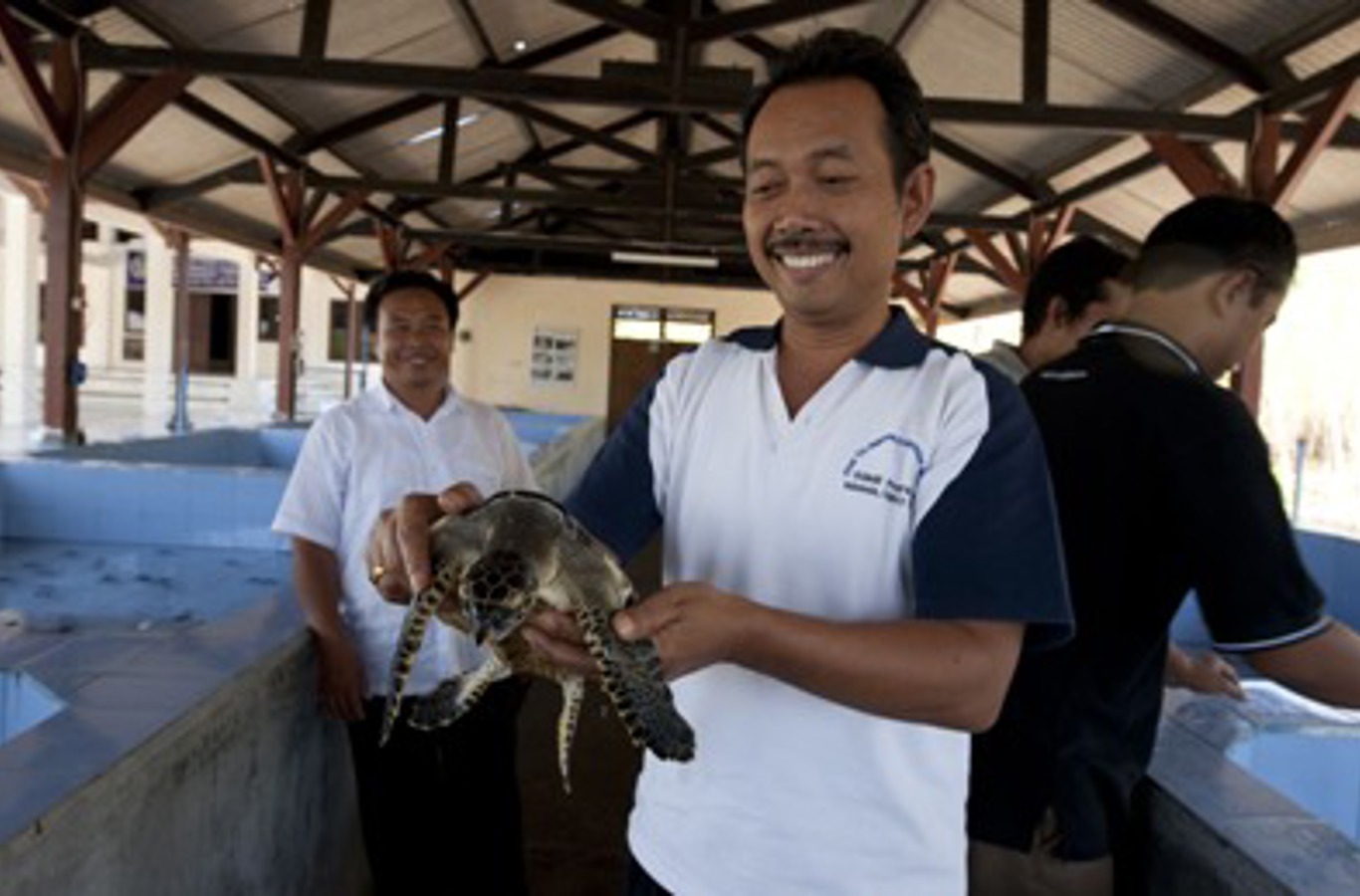 Turtle Conservation and Education Center på øen Serangan, Indonesien.